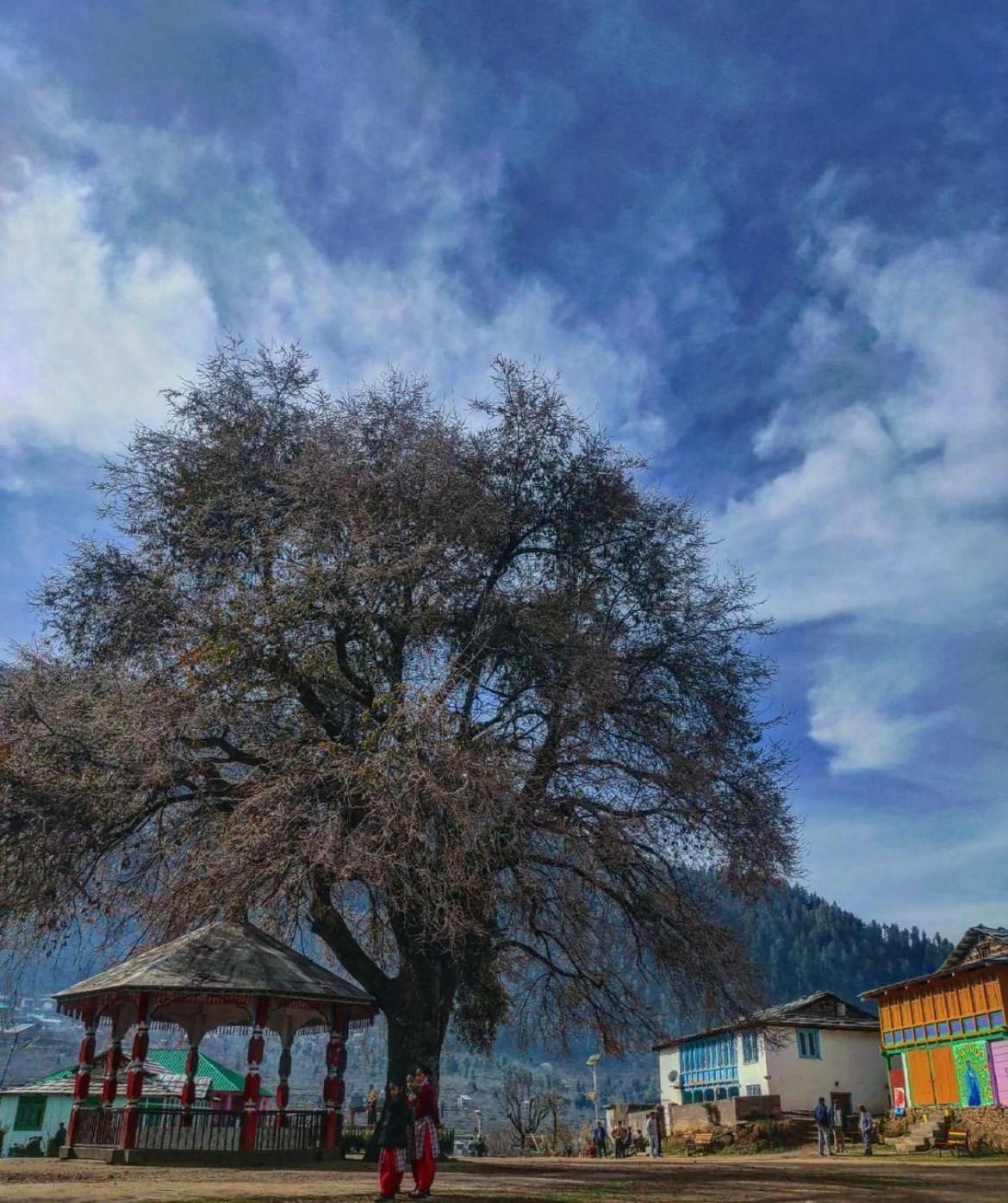 Sainj Riverside Cottages エクステリア 写真